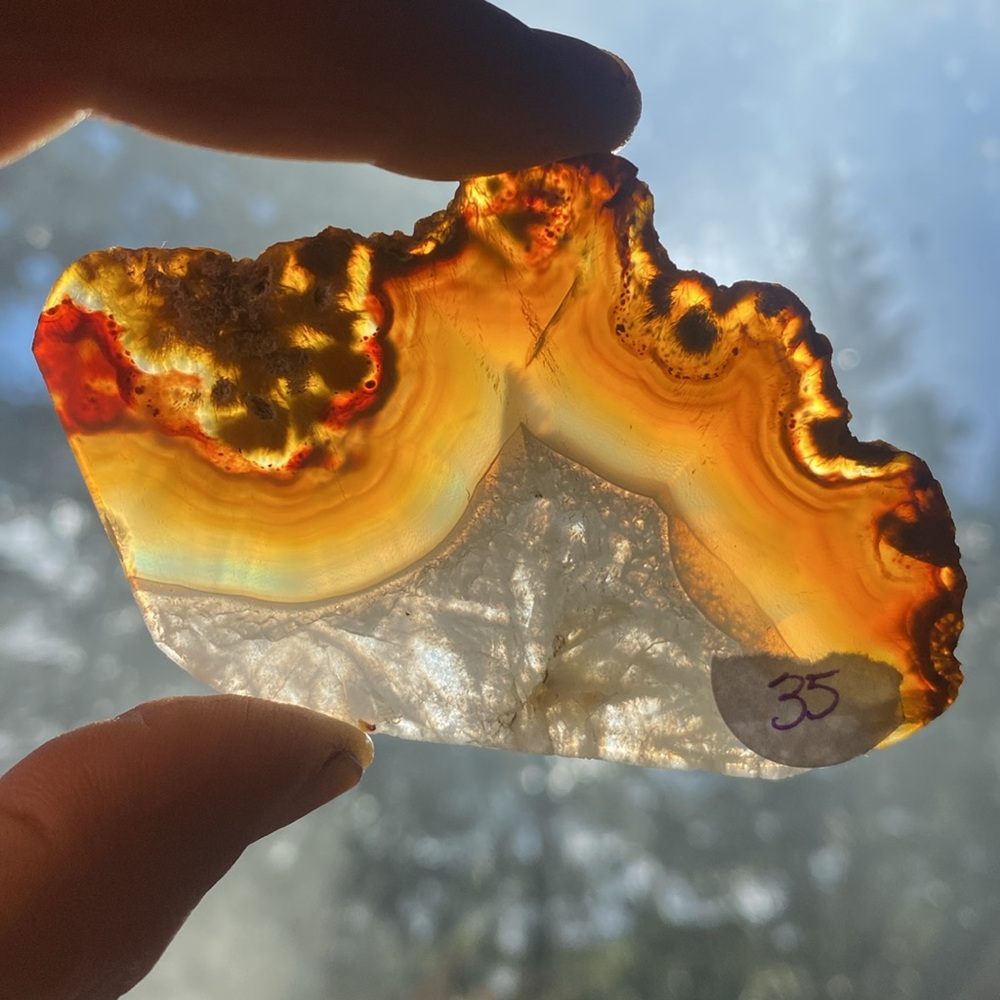 Iris Agate Specimen/ slice - Picture 2 of 4